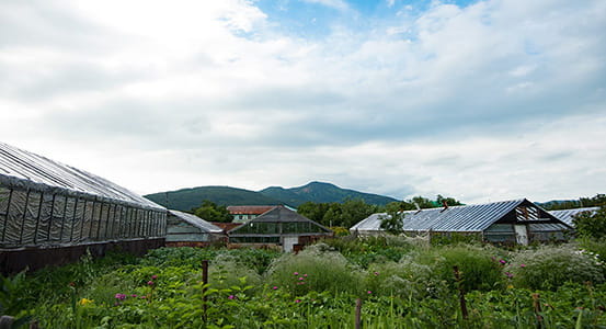 Pauzhetka village