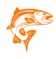 seafood