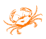 seafood