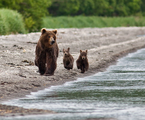 Kuril Lake with overnight stay