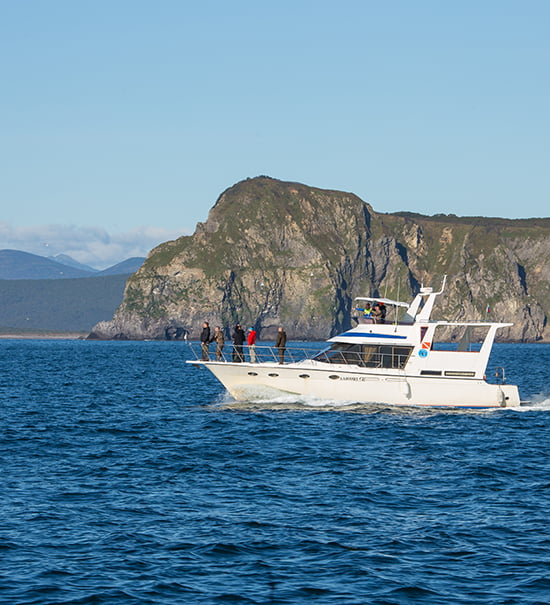 Sea fishing