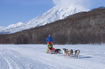 dog sledding