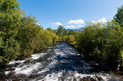 we’ll pass through forests and rivers